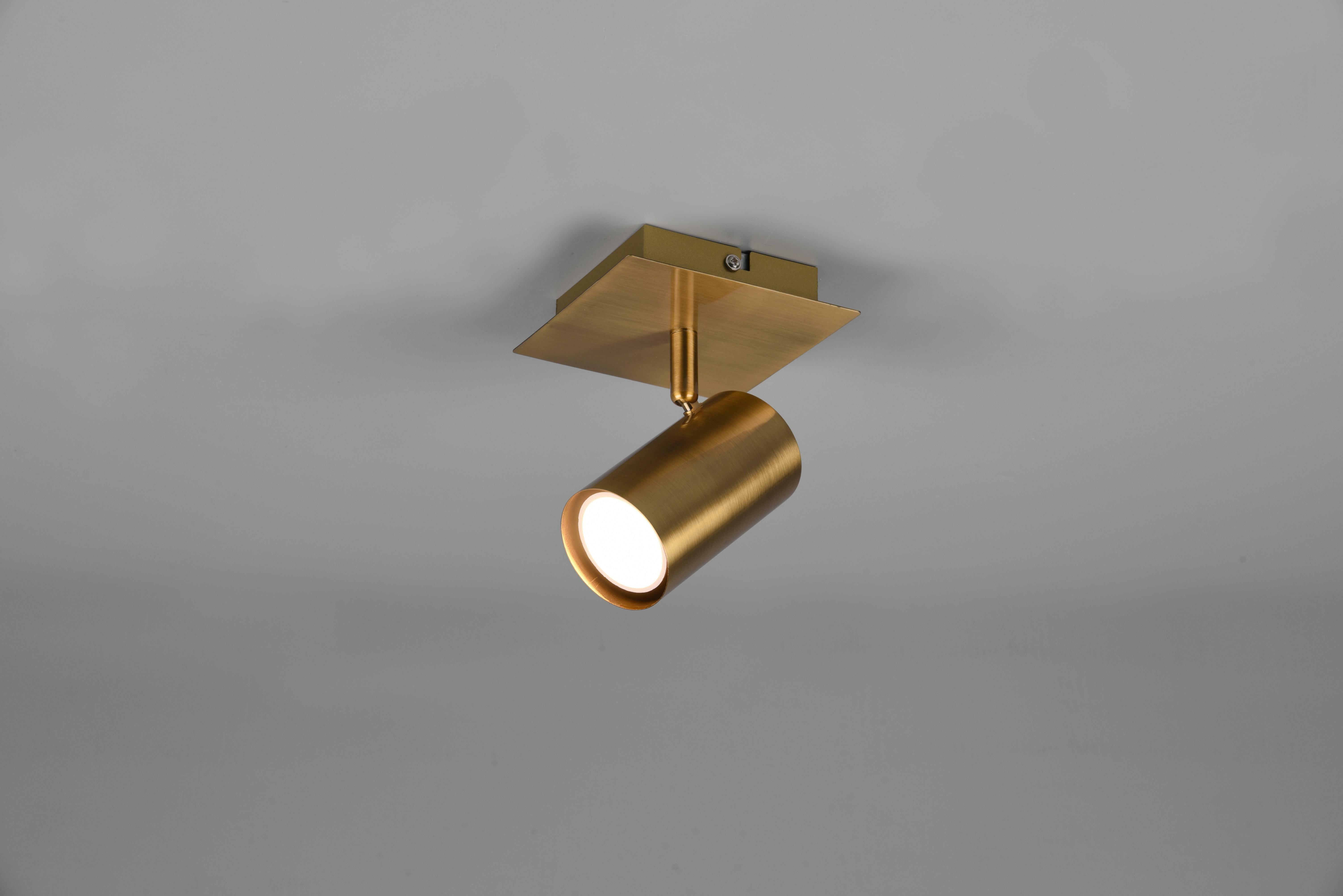 TRIO LIGHTING MARLEY BASE SPOT CIL. LAITON ANTIQUE CM.12 802400104  