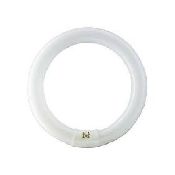 PHILIPS CIRCOLINA TL-E 40W SUPER80 ATTACCO G10Q LUCE BIANCA CALDA E4083