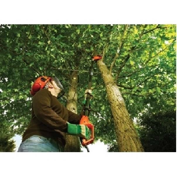 SCIES A FIL 800W 25CM PS7525-QS SCIES A FIL 800W 25CM PS7525-QS