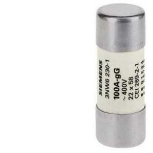 Fusibile cilindrico 22x58 100a gg 3nw62301