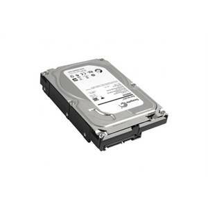 Hard disk 1 tb sata serie professionale hd1000satasv