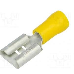 Bm 50 capicorda femmina 9m8mm 4-6 00393