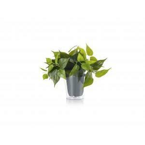 Plant solo pianta finta di sostituzione 92945