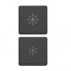 Due tasti  eikon exé 22751.3.03- flat-regolazione-grigio