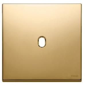 Placca  eikon exé 22672.1.82-2 moduli 1 comando-oro