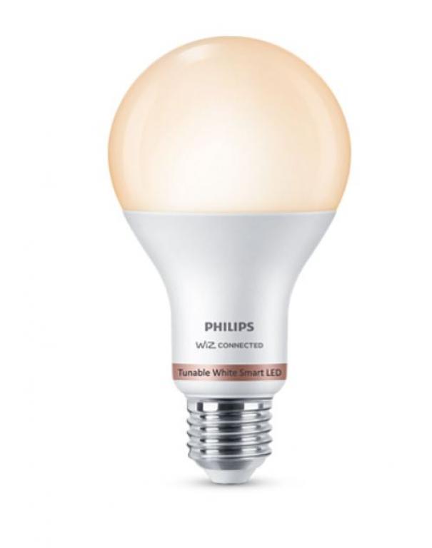 philips lampadina led a67 philips consumer 929002449621 37252800-e27 13w  2700-6500k - foto 1
