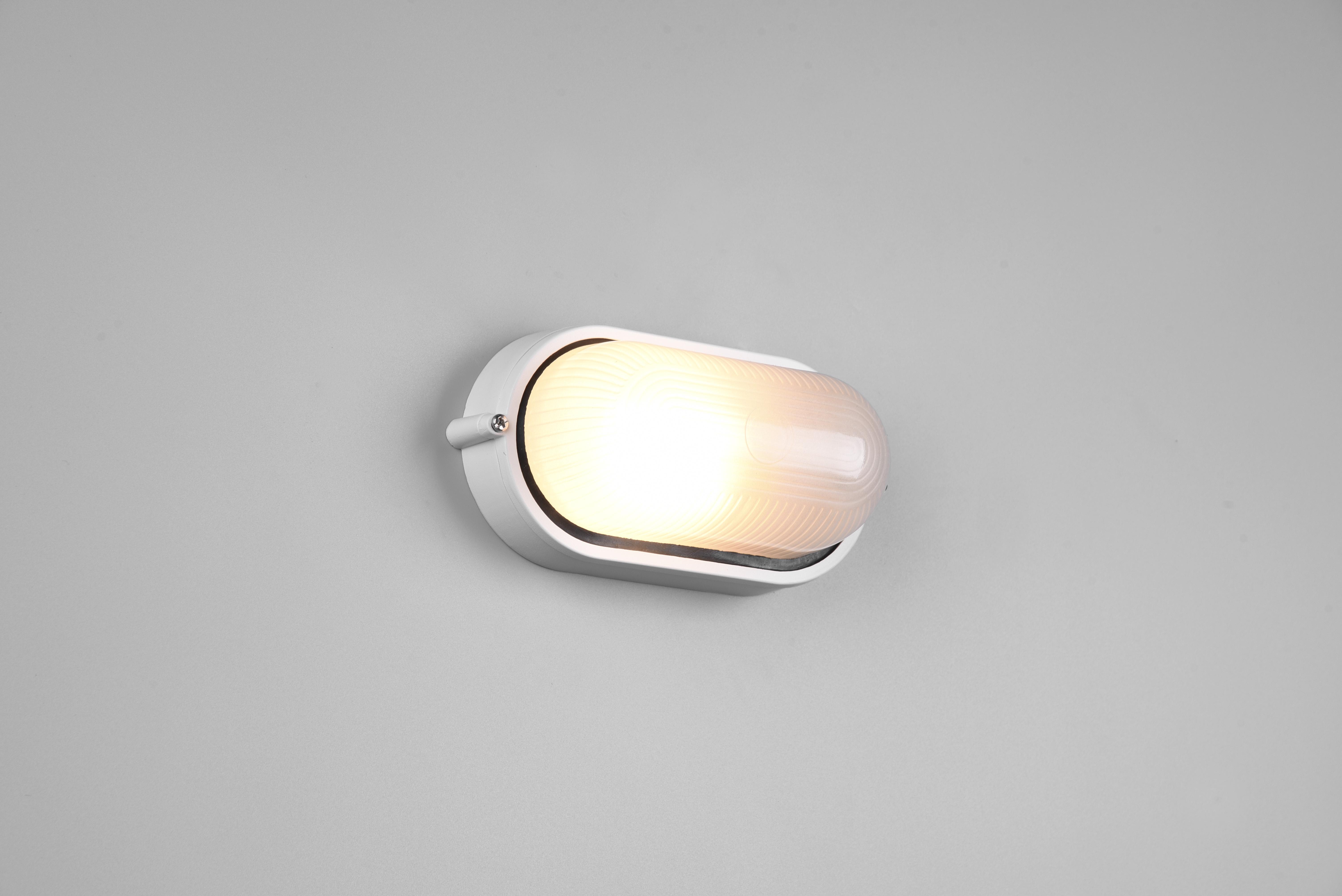 trio lighting alano plafoniera applique da esterno ovale futouchdimmerone di alluminio bianca e vetro satinato l.21,3cm ip44 - foto 1