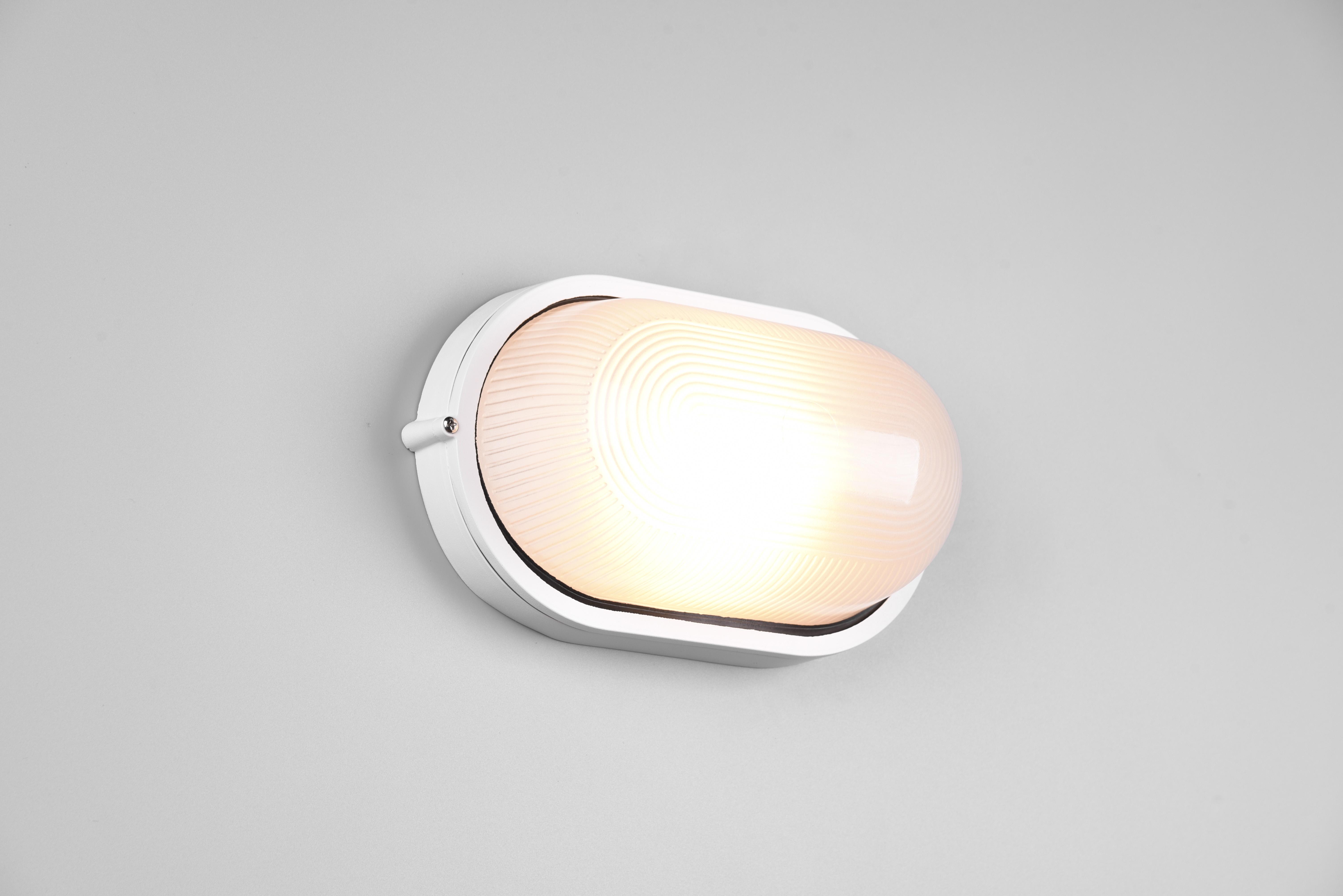 trio lighting alano plafoniera applique da esterno ovale futouchdimmerone di alluminio bianca e vetro satinato l.28,3cm ip44 - foto 1