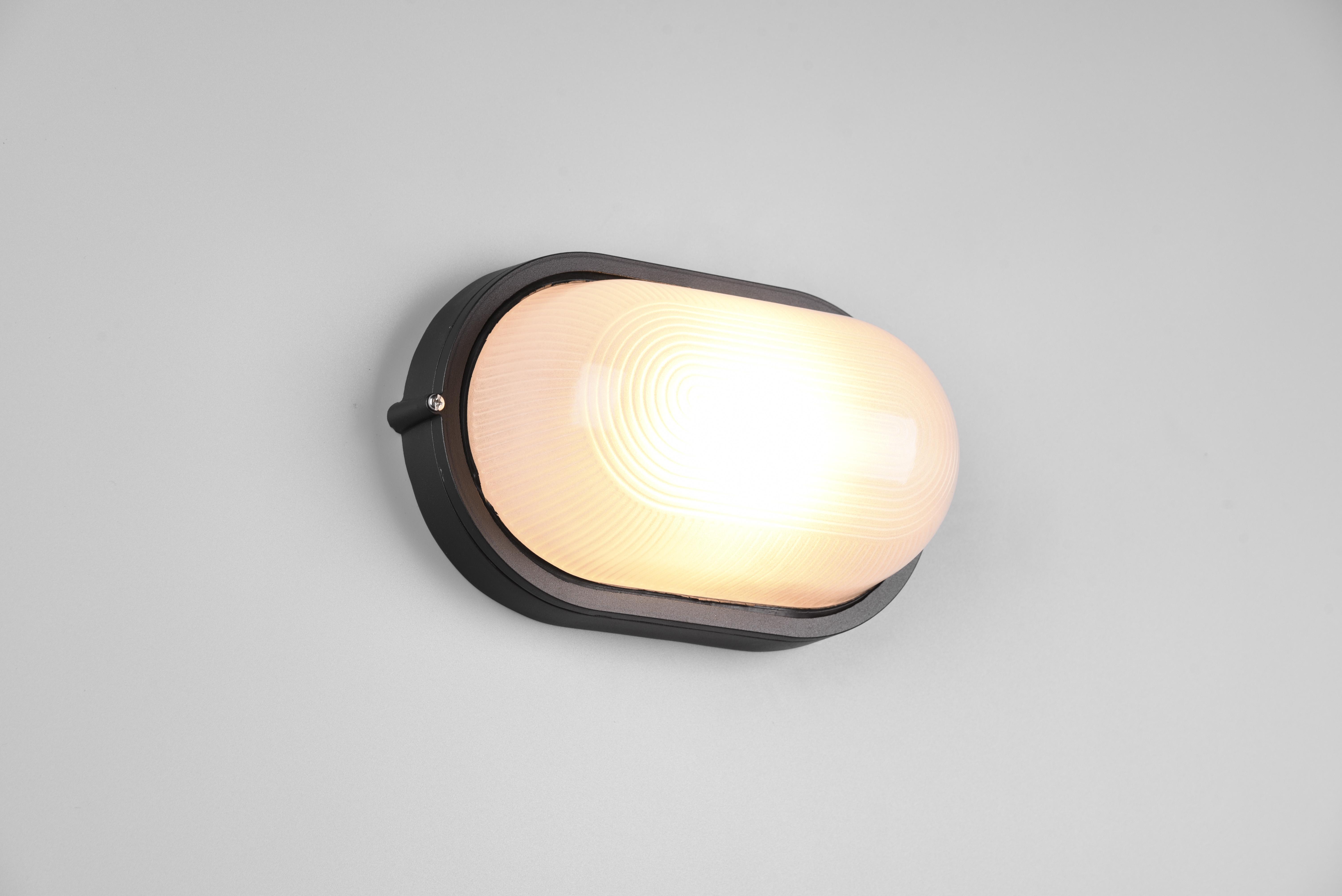 trio lighting alano plafoniera applique da esterno ovale futouchdimmerone di alluminio nera e vetro satinato l.28,3cm ip44 - foto 1