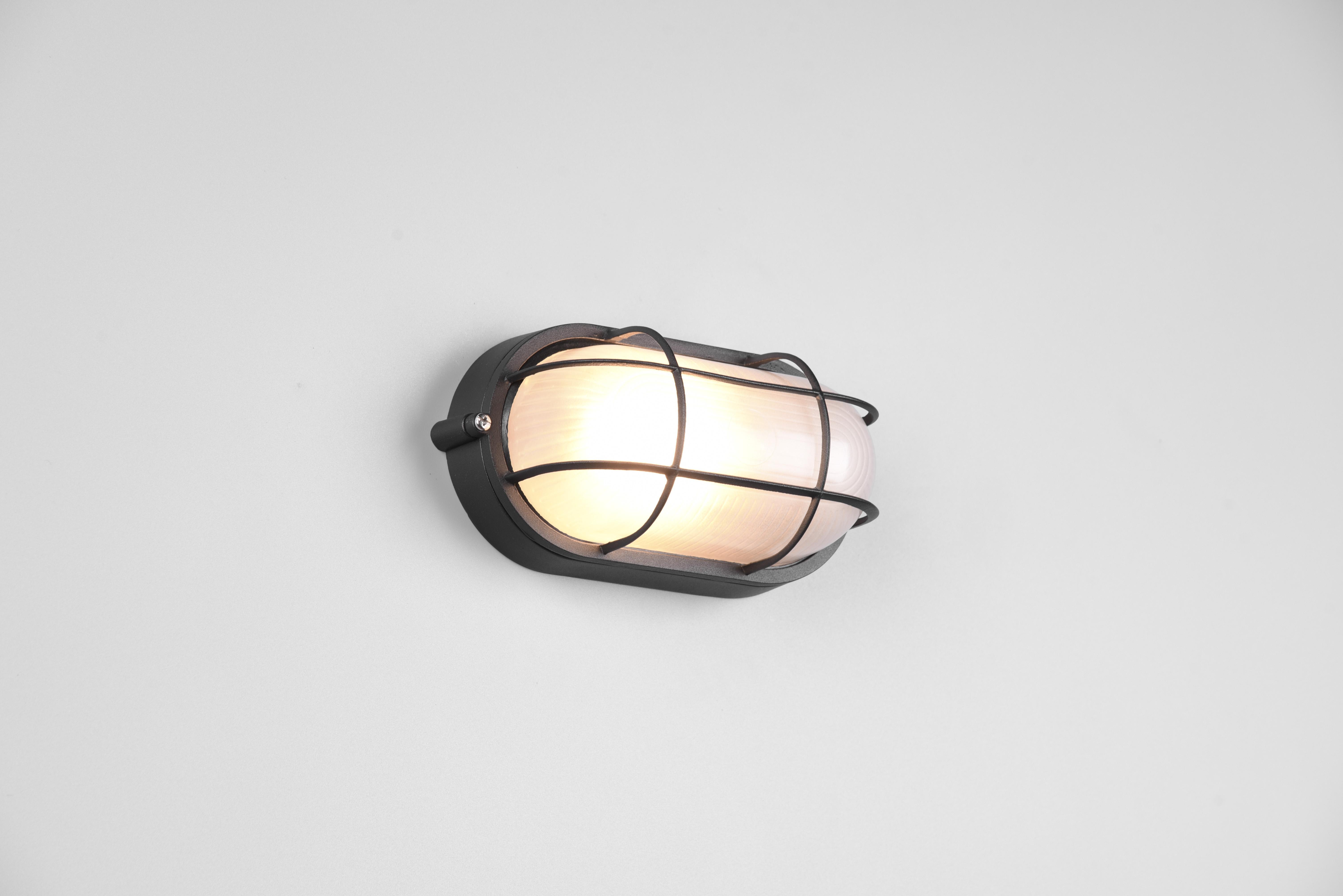 trio lighting algi plafoniera applique da esterno ovale futouchdimmerone di alluminio nera con griglia e vetro satinato l.21,3cm ip44 - foto 1