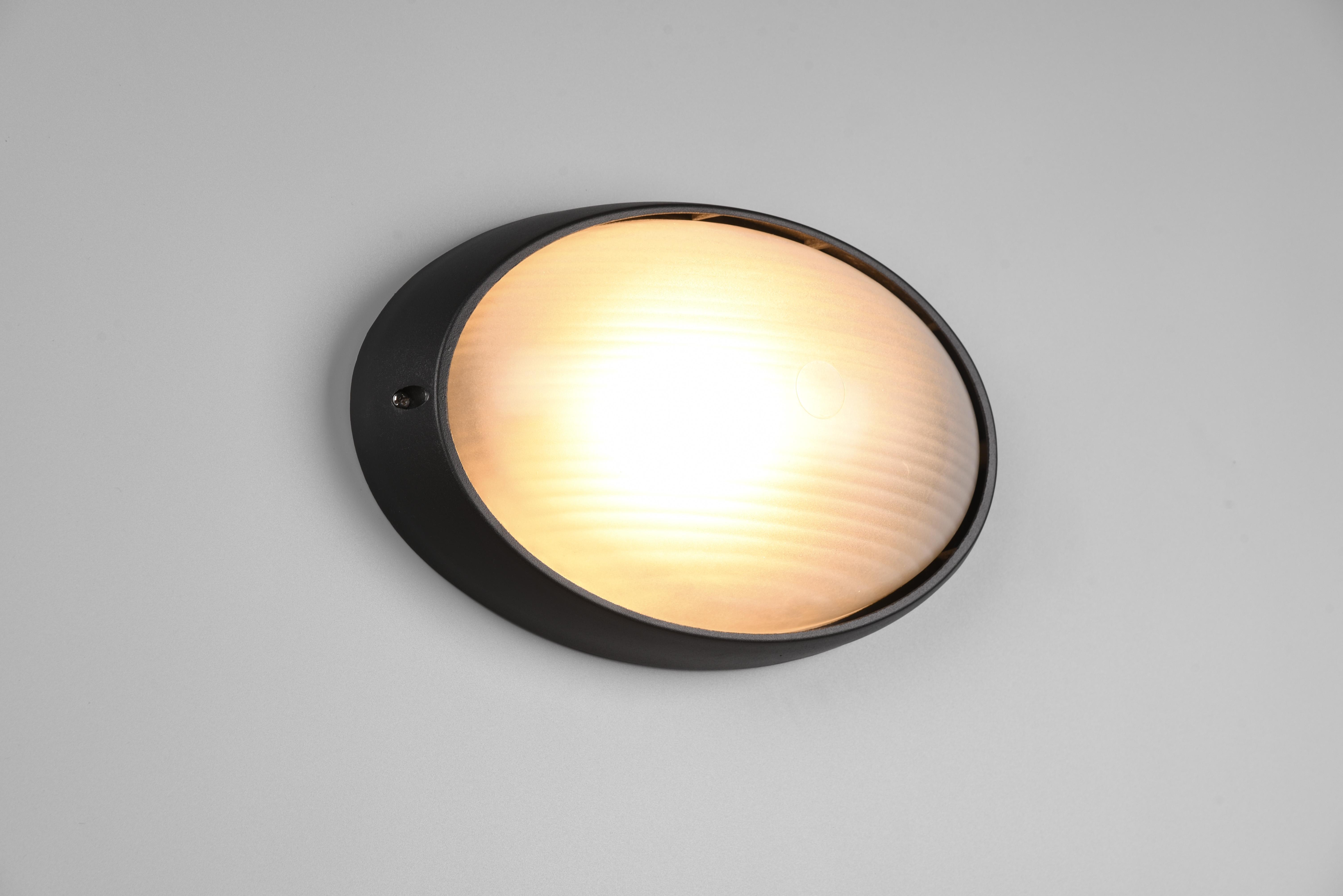 trio lighting temo plafoniera applique da esterno ovale futouchdimmerone di alluminio nera e vetro satinato l.32cm ip44 - foto 1