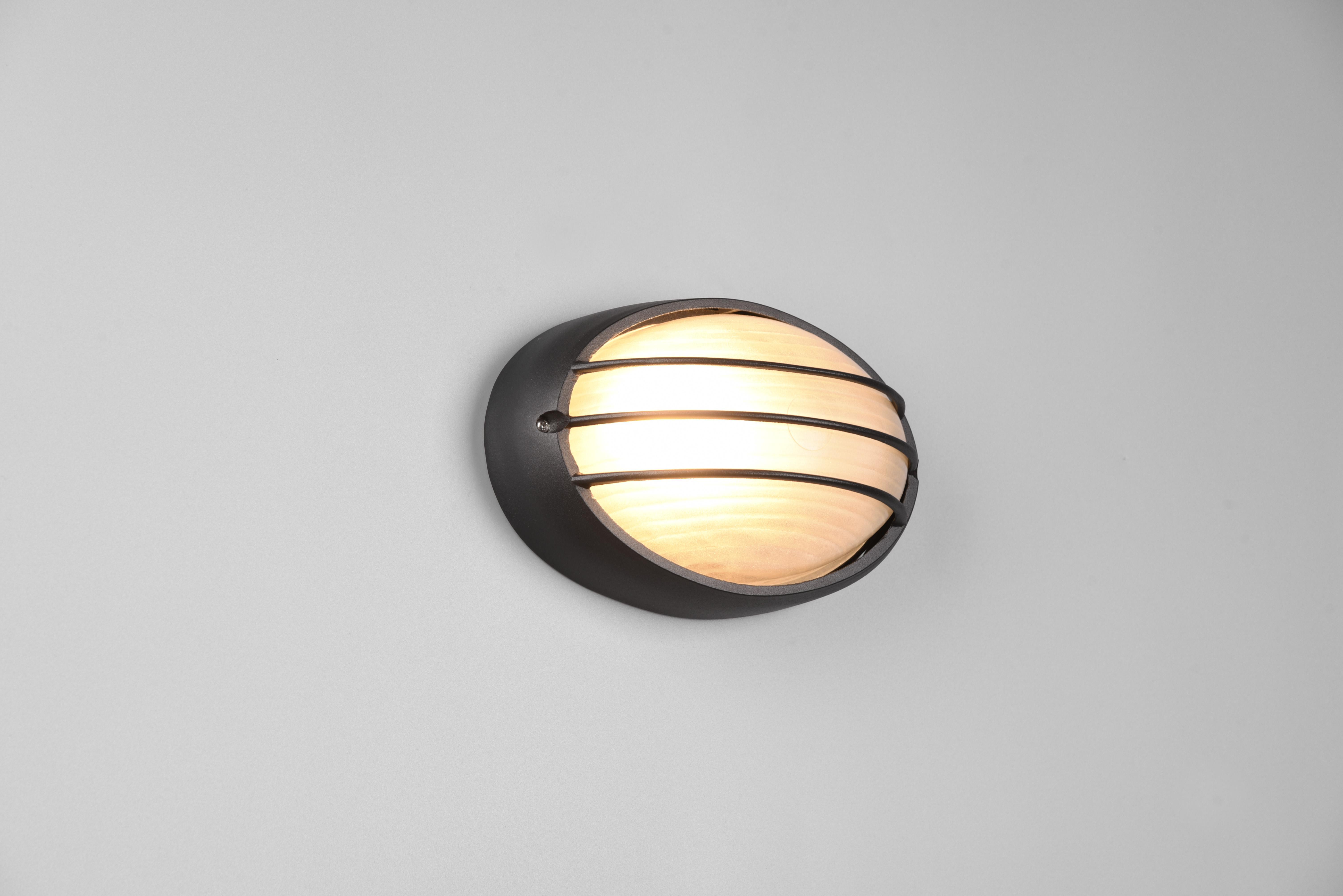 trio lighting tirso plafoniera applique da esterno ovale futouchdimmerone di alluminio nera con griglia  e vetro satinato l.21,3cm ip44 - foto 1