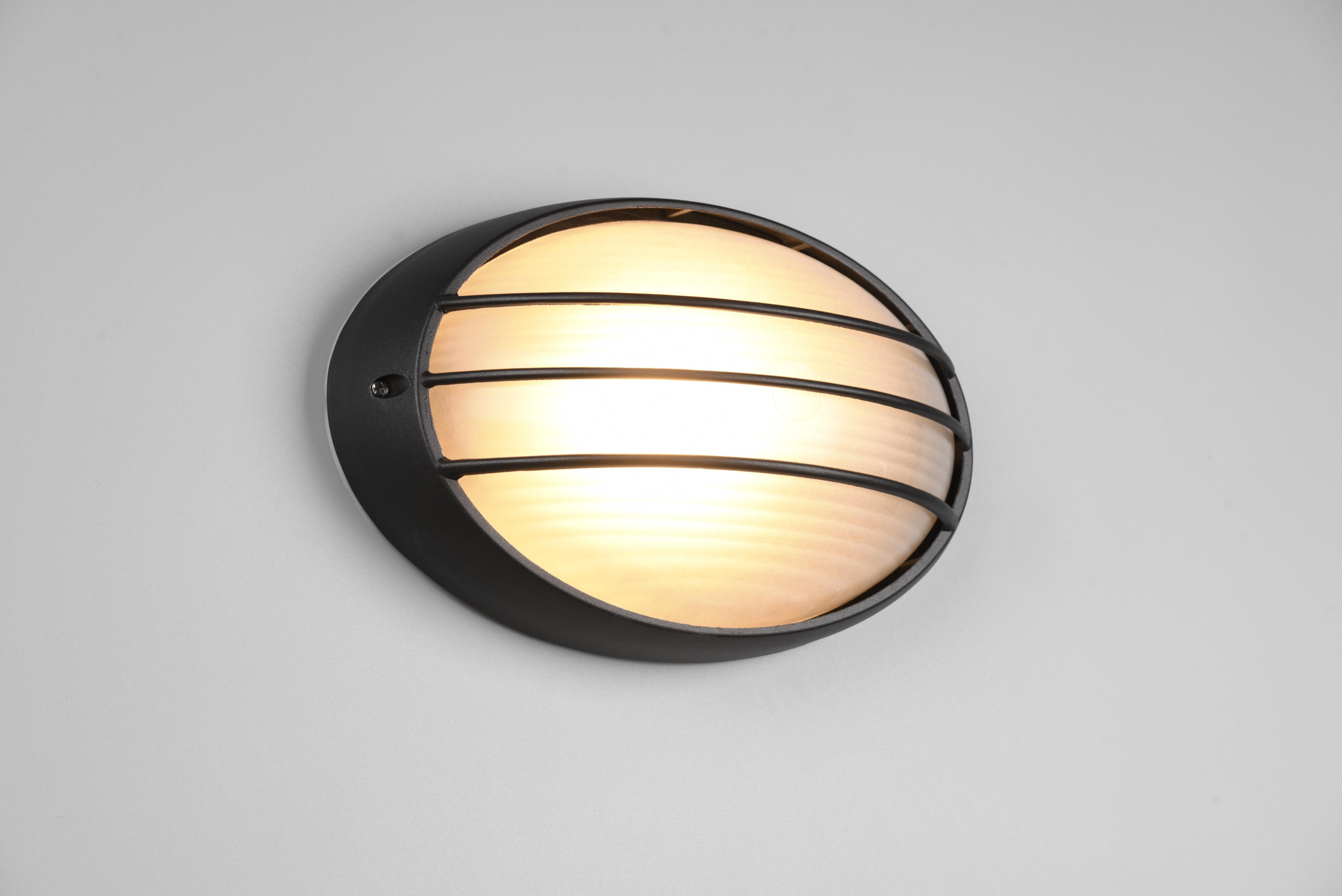 trio lighting tirso plafoniera applique da esterno ovale futouchdimmerone di alluminio nera con griglia  e vetro satinato l.32cm ip44 - foto 1