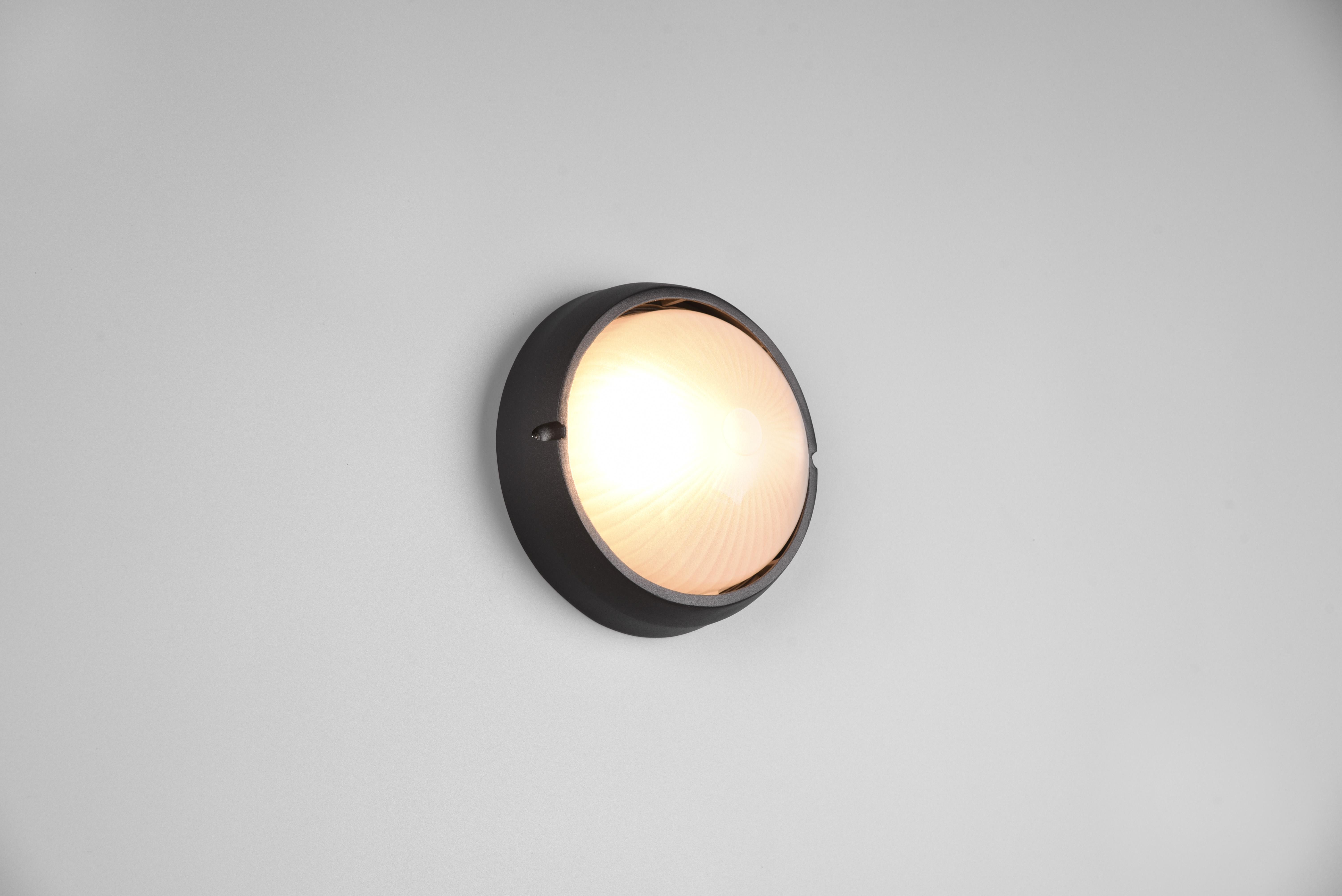 trio lighting torolo plafoniera applique da esterno tonda futouchdimmerone di alluminio nera e vetro satinato d. 19cm ip44 - foto 1