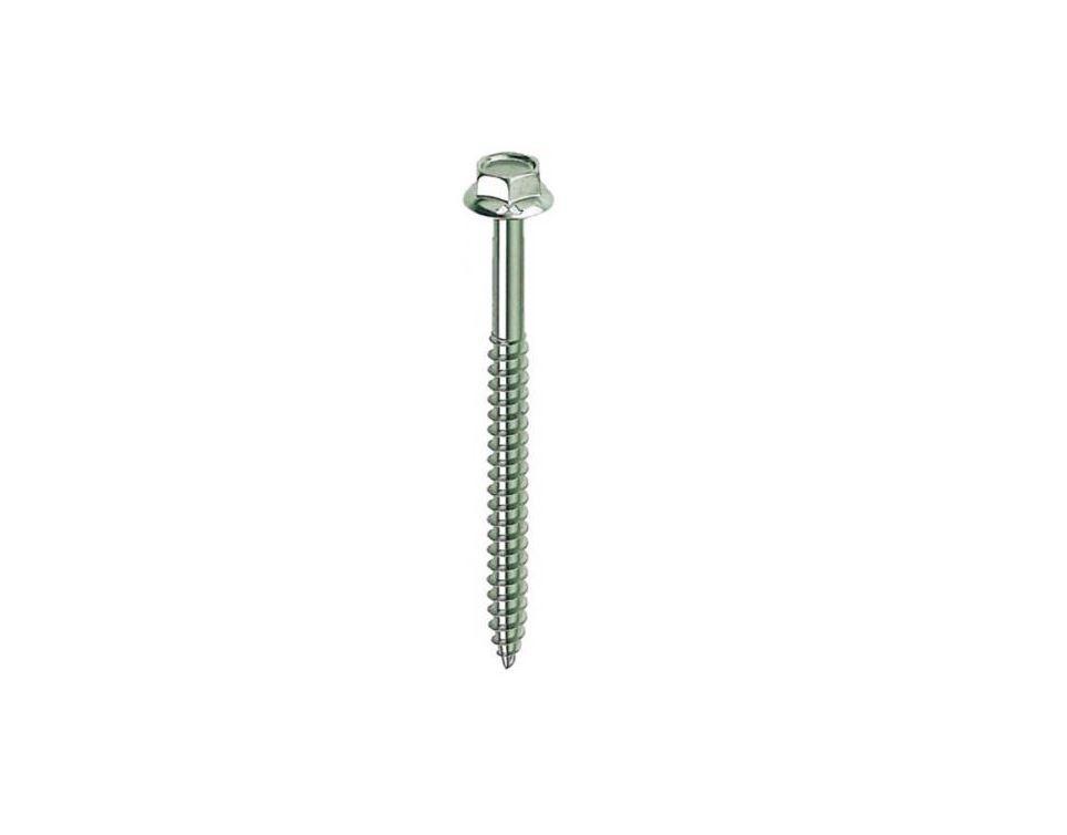 friulsider friulsider 10 viti ter a legno 05100b06120f2 - foto 1