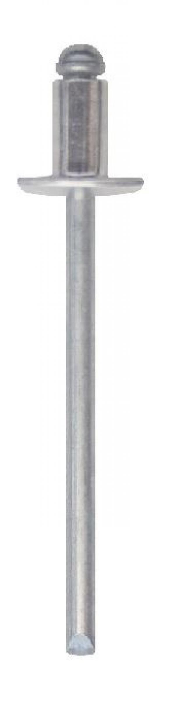 100 Rivetti FRIULSIDER  a Strappo in Alluminio Diametro 4.8 mm,Lunghezza 10 mm -  03000048010F2  01