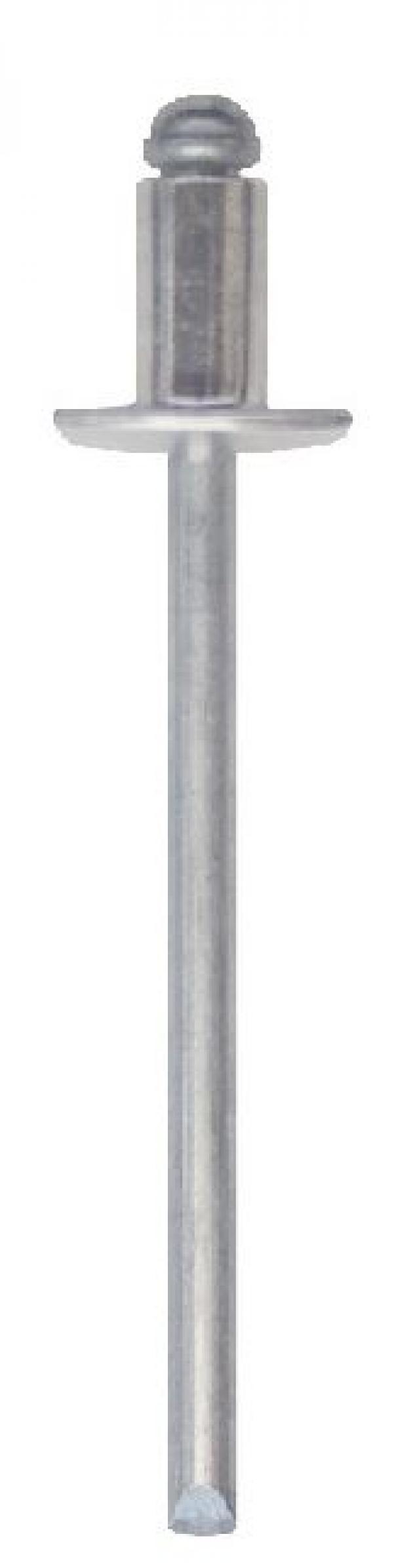 100 Rivetti FRIULSIDER  a Strappo in Alluminio Diametro 4.8 mm Lunghezza 12 mm - 03000048012F2 01