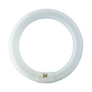 Lampadina circolina fluorescente tl-e 22w d20 luce naturale tl5c6083										 tl5c6083										 e2284