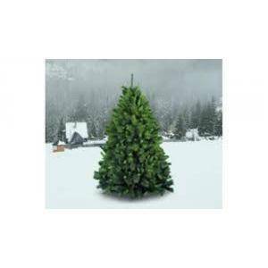 Giocoplast albero germogliato 150cm 29908690