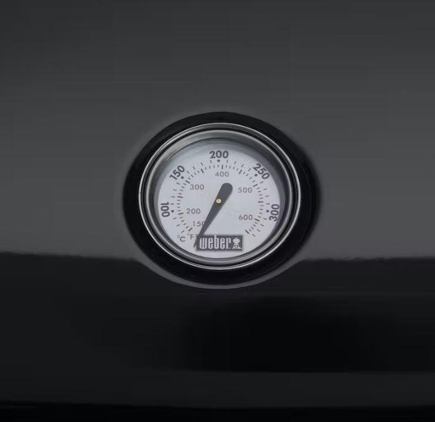 Barbecue elettrico Weber Lumin con supporto - 92010853 02