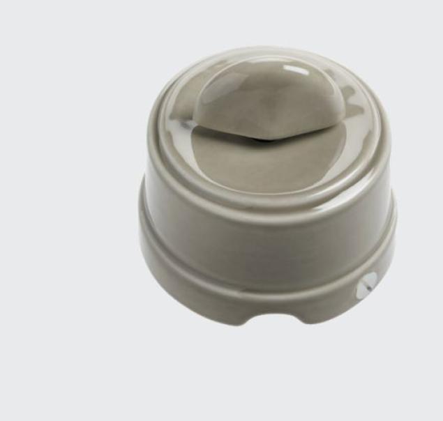 Interruttore Deviatore rotativo Gambarelli Simplex 1P 10AX tortora lucido - SX110.T 01