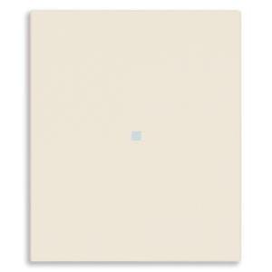 Tasto intercambiabile con simbolo neutro  linea 2m canapa - 31000a.2c