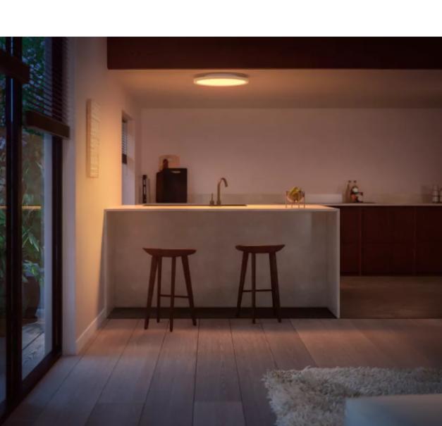 Pannello led Philips Hue Surimu 2000-6500K white and color ambiance - 15919800 04