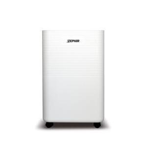 Deumidificatore  280w tanica da 2l bianco - zdp12