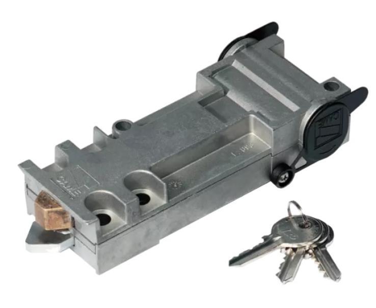 Sblocco FROG Came con Chiave Personalizzata - 801XA-0030 01