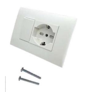 Placca  precomposta con 1 presa p40 e 1 presa bivalente bianca - 22120