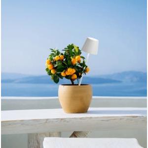 Poldina terra  con picchetto da esterno ricaricabile led-  ld0682b3