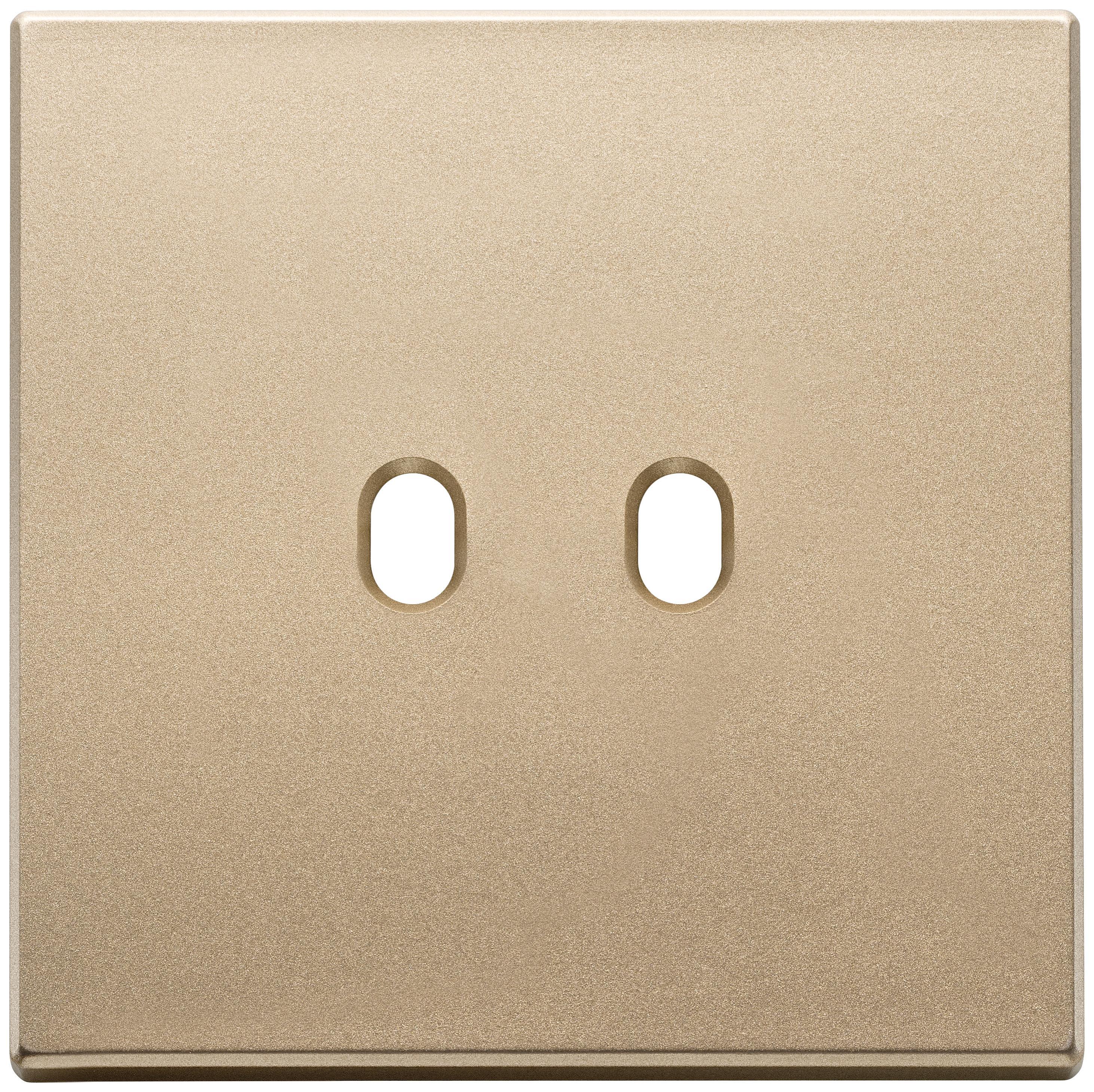 Placca Vintage Vimar 2 Moduli Oro Satinato per Serie Eikon - 22672.2.88  01