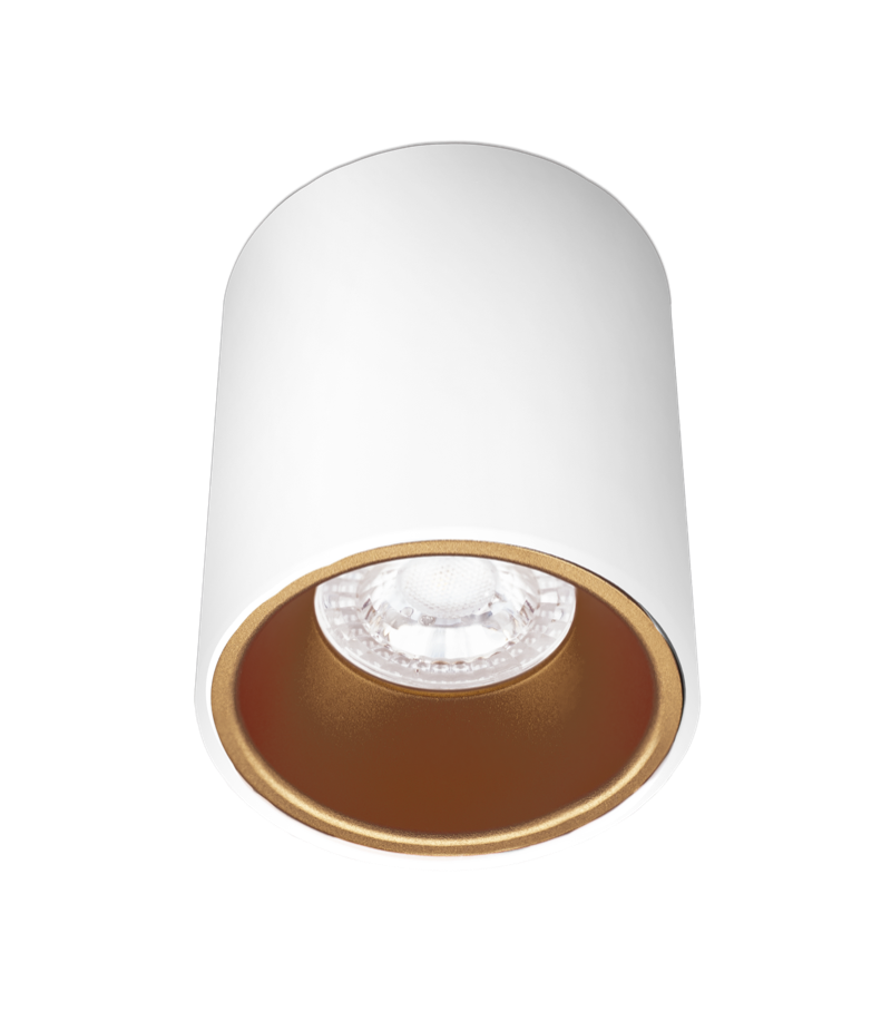Plafoniera Century ESSENZA da Interno con Attacco GU10 IP20 - ESRBG80-GU10  01