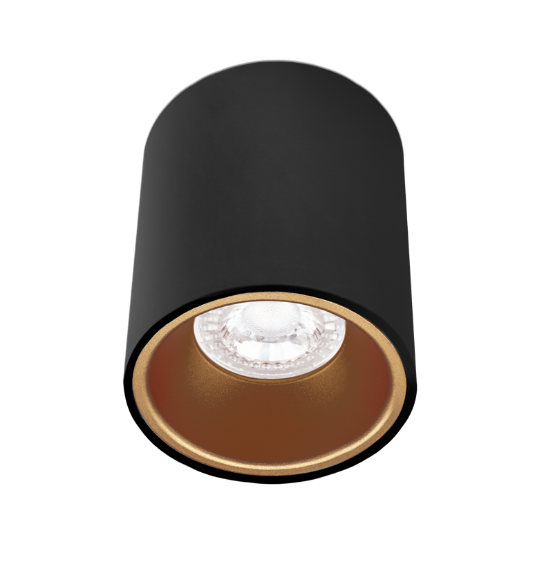 Plafoniera Century ESSENZA da Interno con Attacco GU10 IP20 - ESRNG80-GU10 01