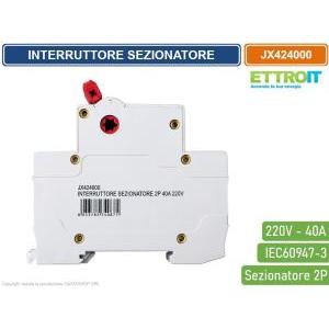 Interruttore sezionatore 2 poli 40a 220v  jx424000 uso industriale