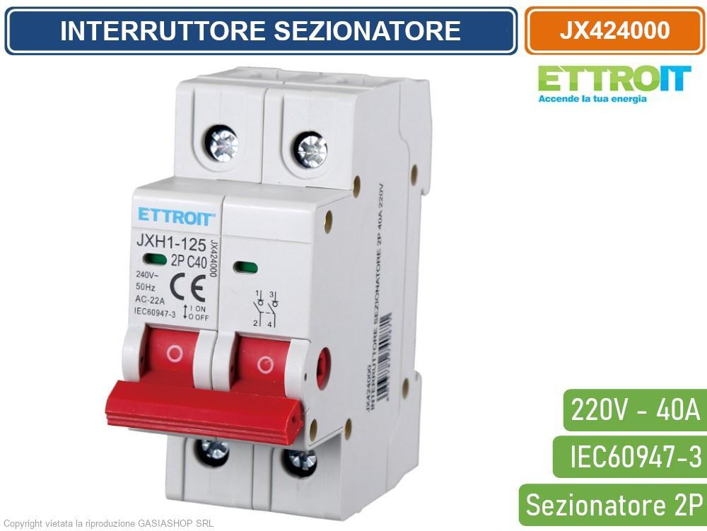 interruttore sezionatore 2 poli 40a 220v ettroit vista angolata dettagli morsetti e costruzione robusta