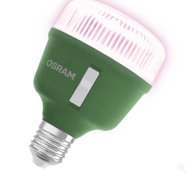Lampada LED crescita piante LEDVANCE accesa con luce rosa spettro regolabile fioritura