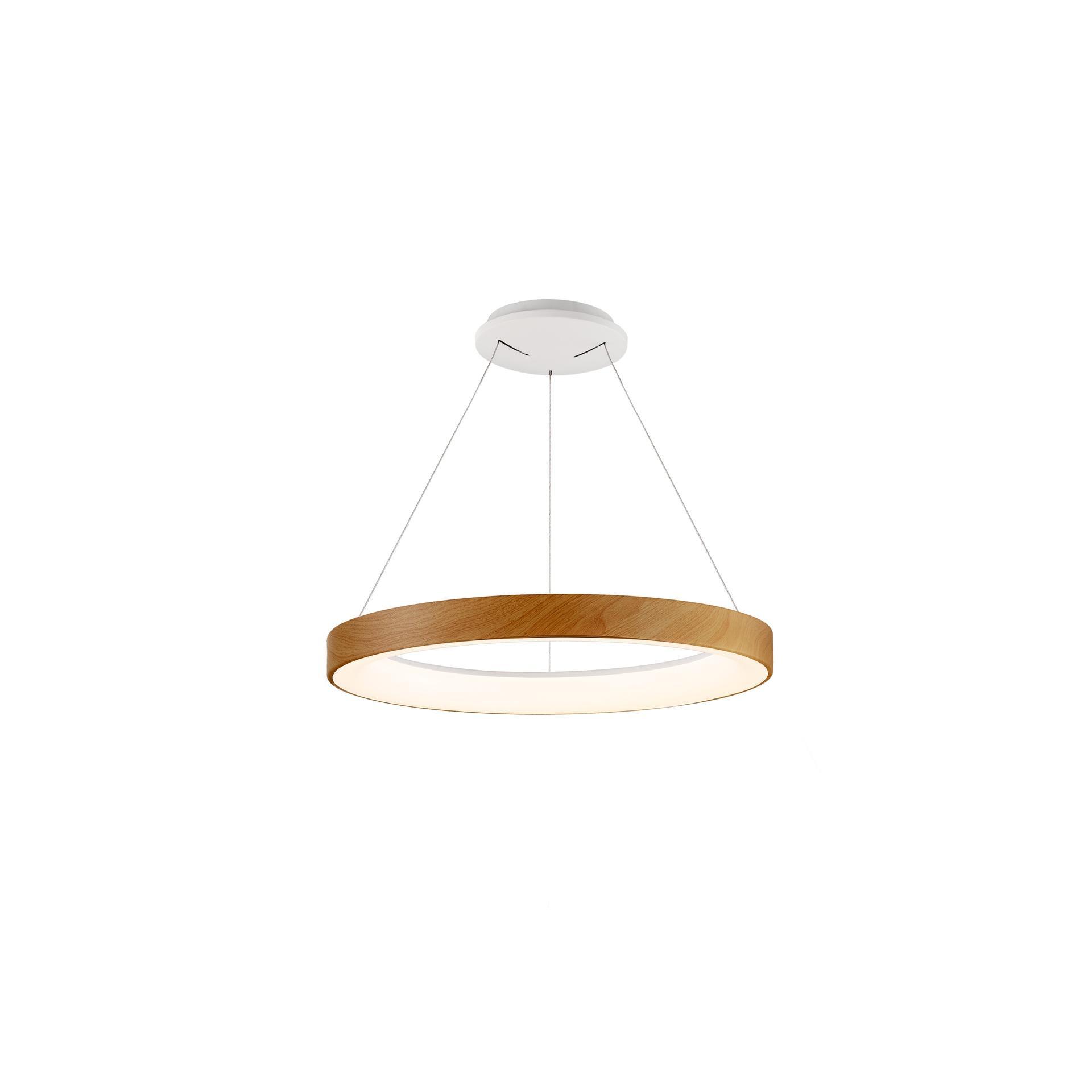 lampadario led a sospensione ad anello in soggiorno