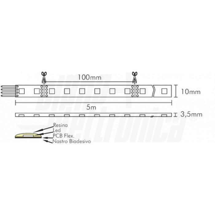 schema dimensioni striscia led 5m larghezza 10mm spessore 35mm taglio 100mm