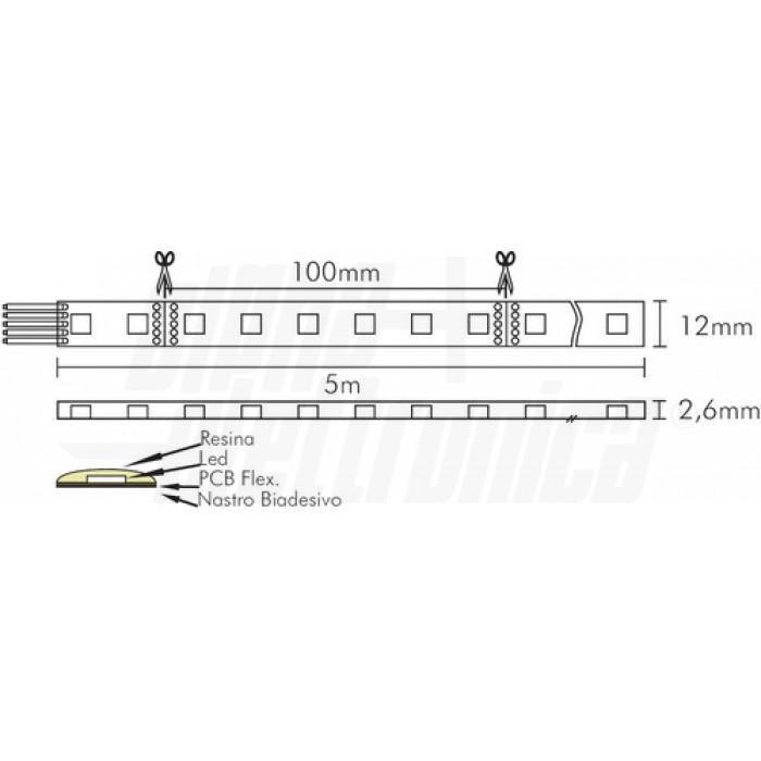 schema striscia led rgbw 5m taglio 100mm larghezza 12mm spessore 2 6mm