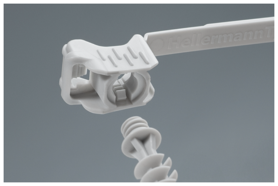 dettaglio testa fascetta dentatura interna con fissaggio dettaglio testa fascetta dentatura interna e sistema di fissaggio
