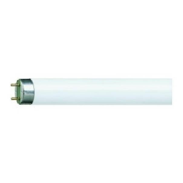 tubo fluorescente t8 18w 60cm attacco g13 luce calda philips