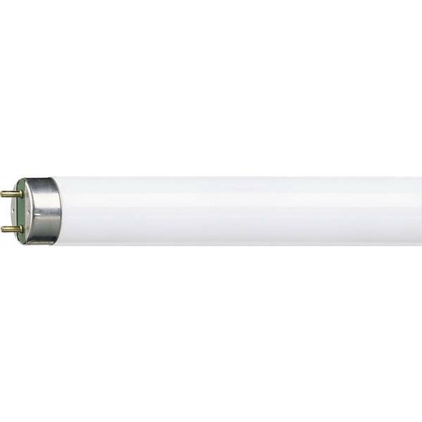 lampada fluorescente t8 150 cm 58w finitura satinata attacco g13