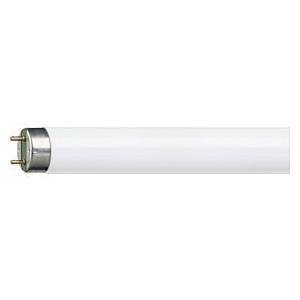 Tubo fluorescente t8 36w 3000 k 120cm  -3683ng