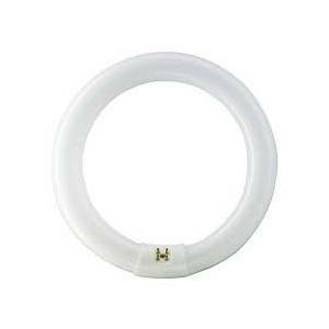 Circolina tl-e 40w super80 attacco g10q luce bianca calda e4083
