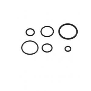 Idro-bric kit anello or da r3 a r10 10 pezzi p0665 a