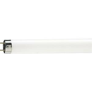Lampada fluorescente alimentari 3800k t8 58w 150cm  - 5879