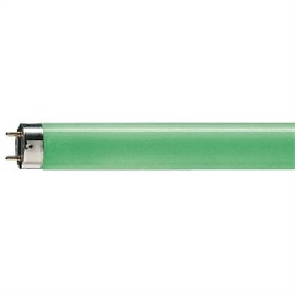 tubo fluorescente t8 verde 150 cm attacco g13 philips