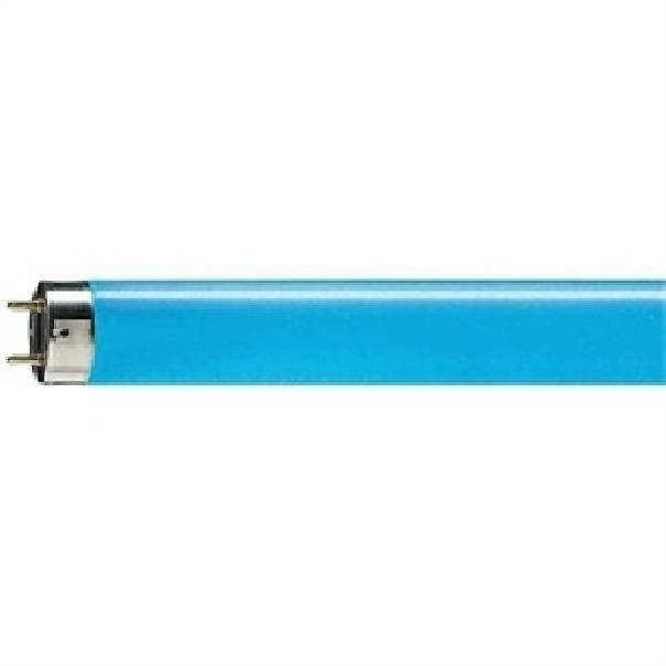 tubo neon t8 blu 150 cm attacco g13 philips