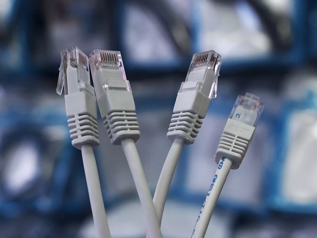 Cavi Ethernet